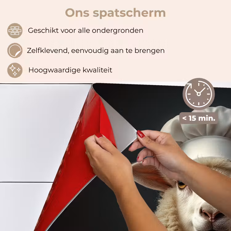 Spatscherm keuken - Schaap - Wol - Kok — 4