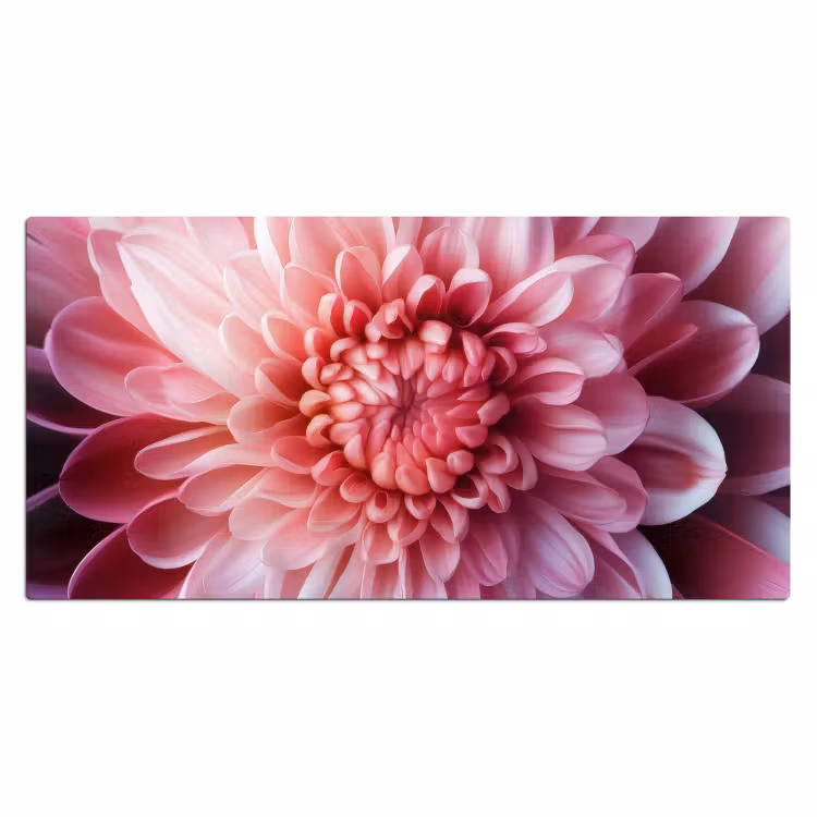 Bureau onderlegger - Dahlia - Bloem - Close up - Roze — 1