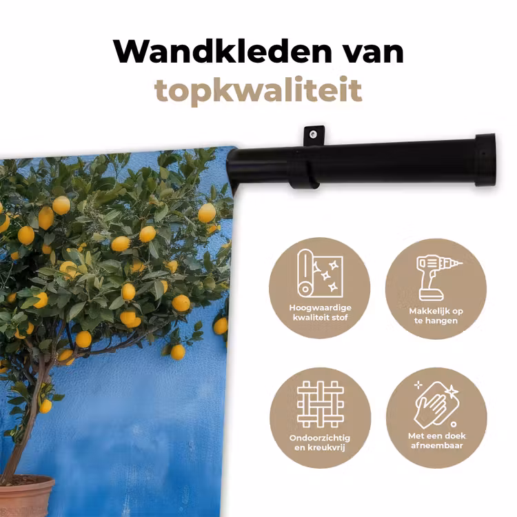 Wandkleed - Citroenbomen - Geel - Deur - Potten — 3