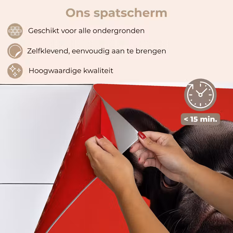 Spatscherm keuken - Amor - Hond - Hartje - Rood — 4