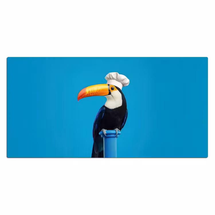 Bureau onderlegger - Tucan - Sokkel - Vogel - Koksmuts — 1