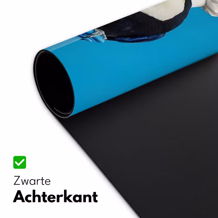 Bureau onderlegger - Tucan - Sokkel - Vogel - Koksmuts — 4