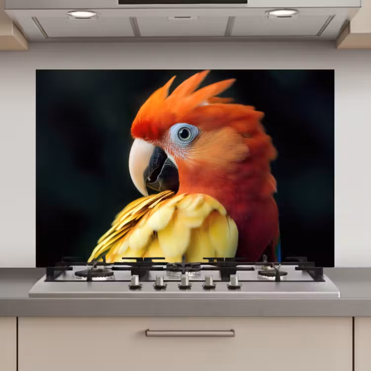 Spatscherm keuken - Close-up - Papegaai - Veren - Oranje — 1
