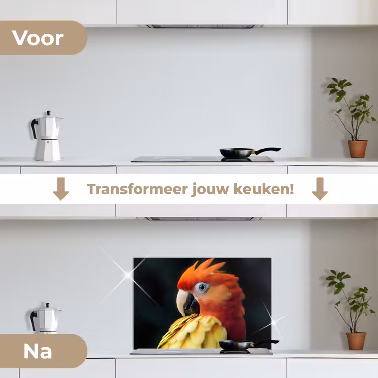 Spatscherm keuken - Close-up - Papegaai - Veren - Oranje — 3