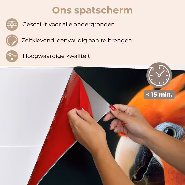 Spatscherm keuken - Close-up - Papegaai - Veren - Oranje — 4