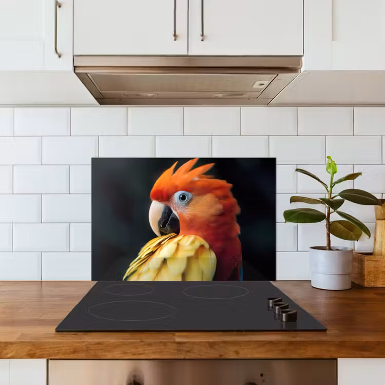 Spatscherm keuken - Close-up - Papegaai - Veren - Oranje — 6