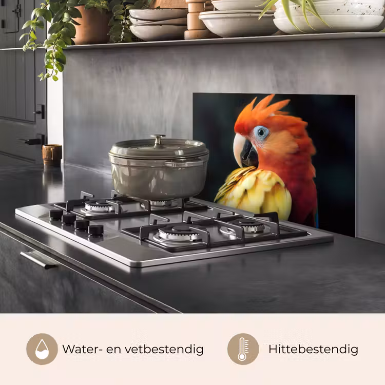 Spatscherm keuken - Close-up - Papegaai - Veren - Oranje — 7