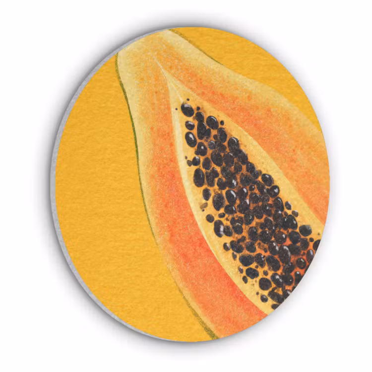 Akoestisch schilderij rond - Papaja - Oranje - Topisch — 1