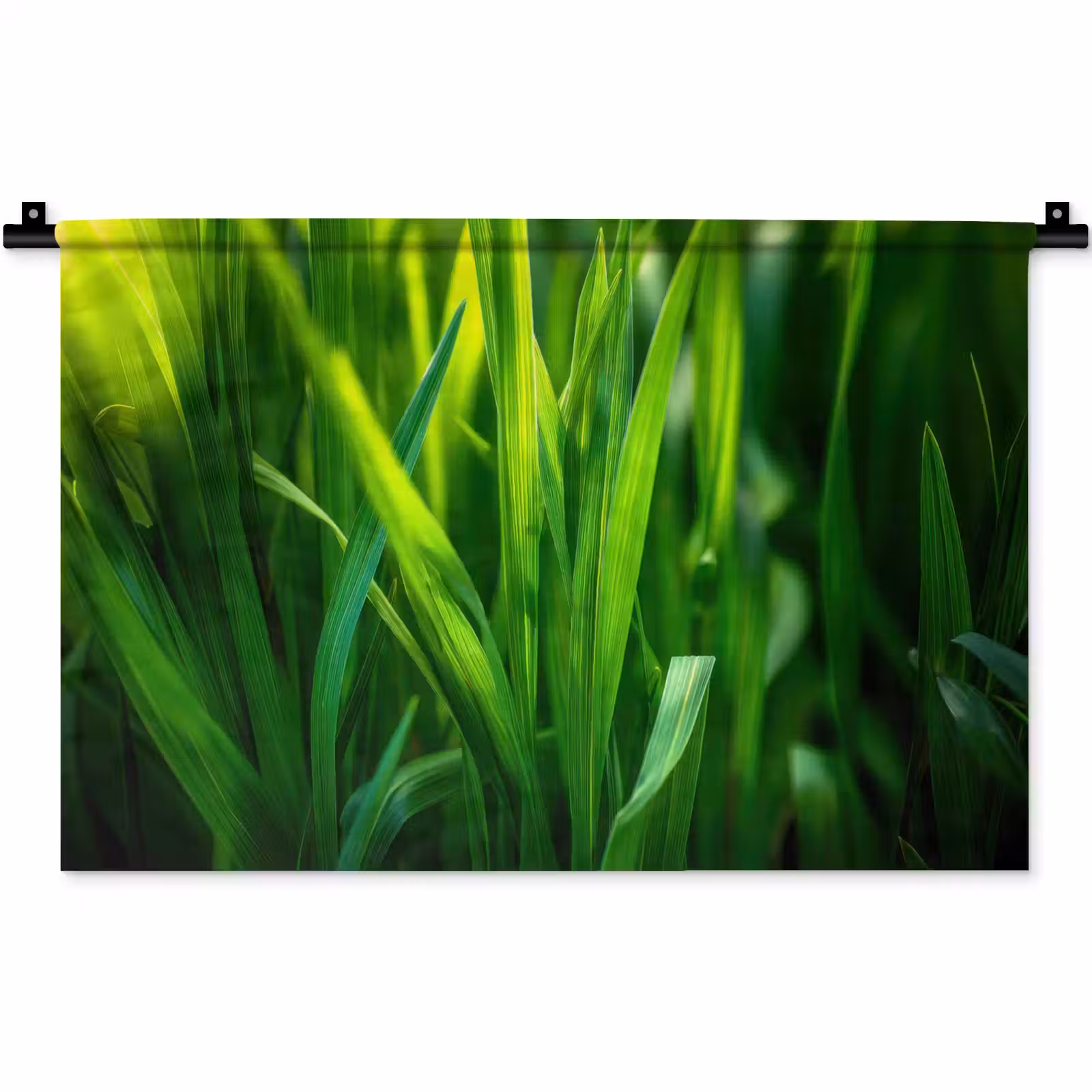 Wandkleed - Grassprieten - Lichtinval - Groen — 1