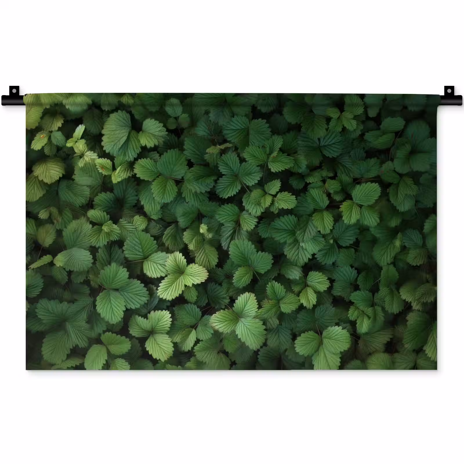 Wandkleed - Groen - Bladeren - Kartel - Zonlicht — 1