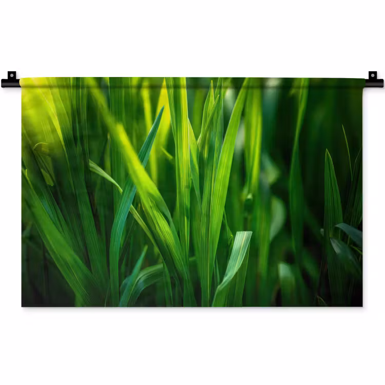 Wandkleed - Grassprieten - Lichtinval - Groen — 1