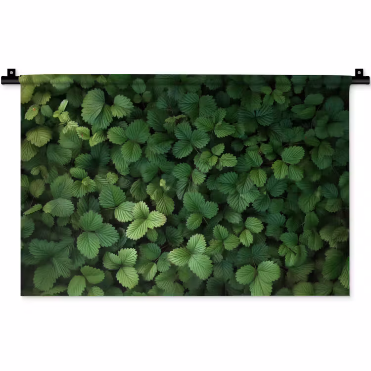 Wandkleed - Groen - Bladeren - Kartel - Zonlicht — 1