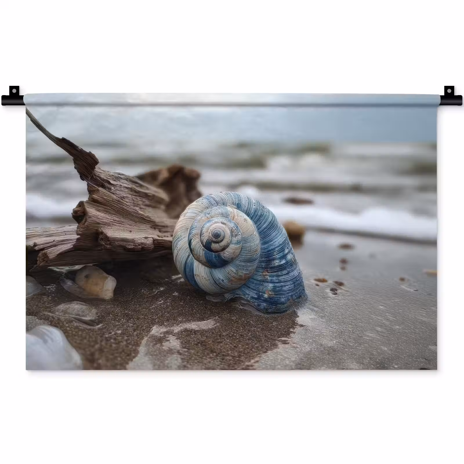 Wandkleed - Schelp - Strand - Blauw - Zee — 1
