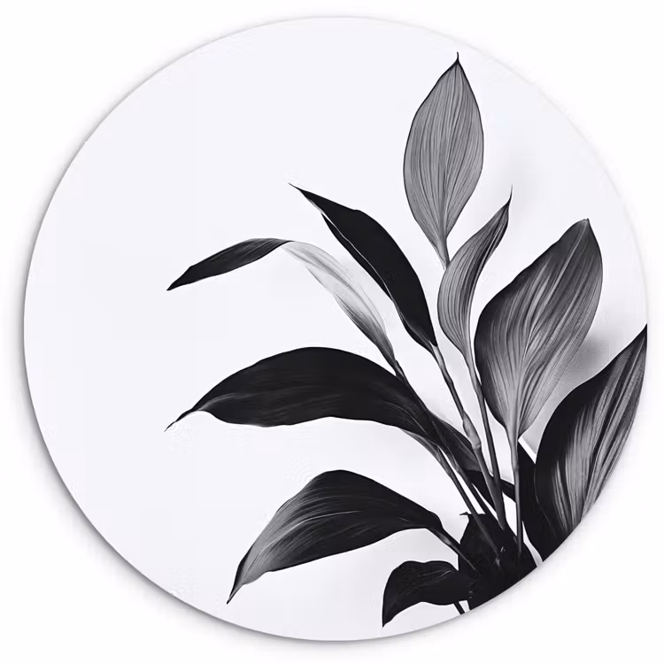 Muurcirkel - Plant - Bladeren - Minimalistisch - Zwart — 1