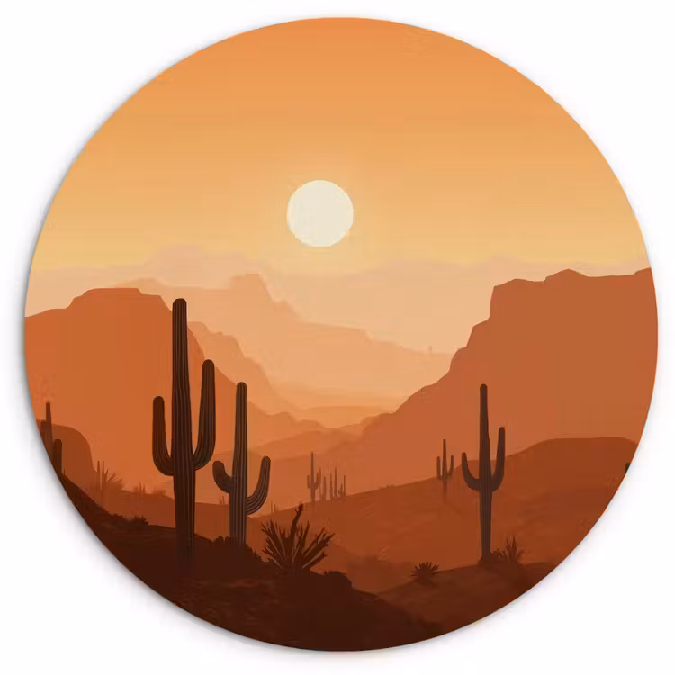 Muurcirkel - Landschap - Woestijn - Cactussen - Zon — 1