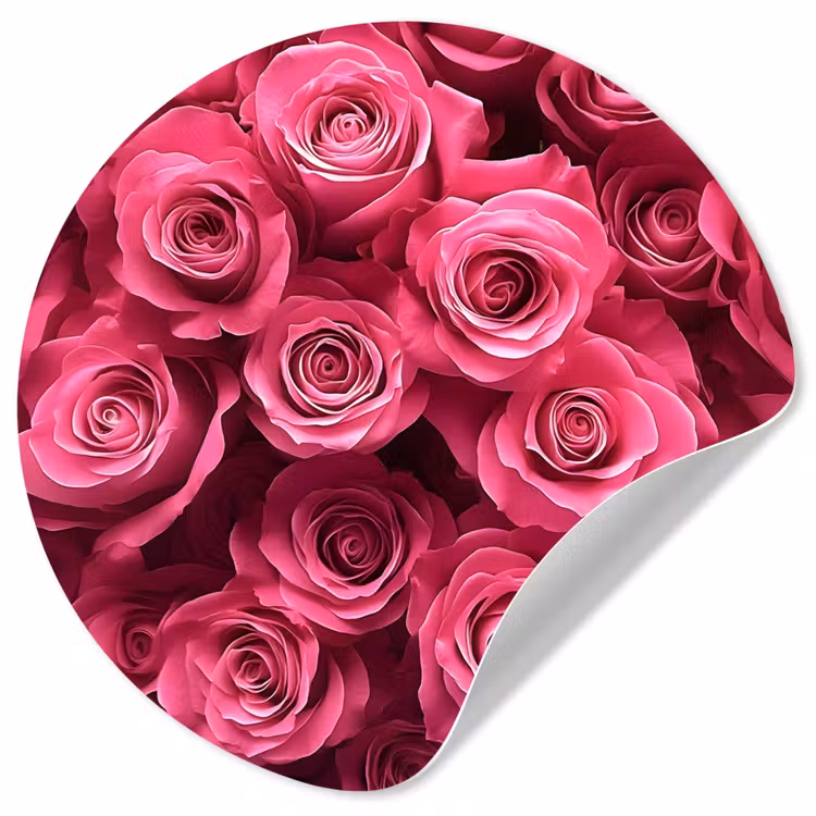 Behangcirkel - Rozen - Pink - Bloem — 1
