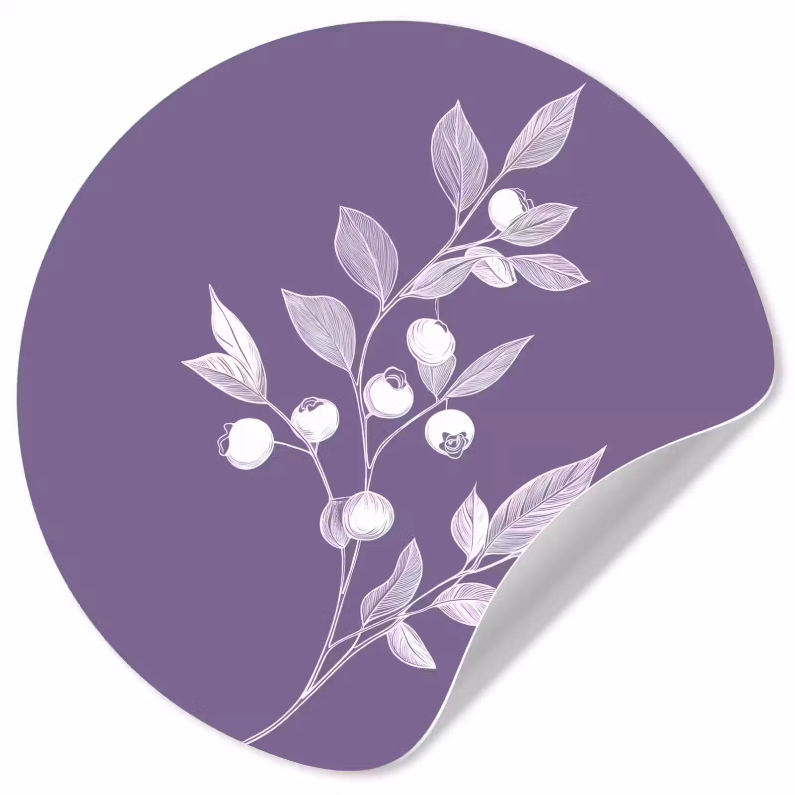 Behangcirkel - Tak - Sierlijk - Bladeren - Minimalistisch — 1