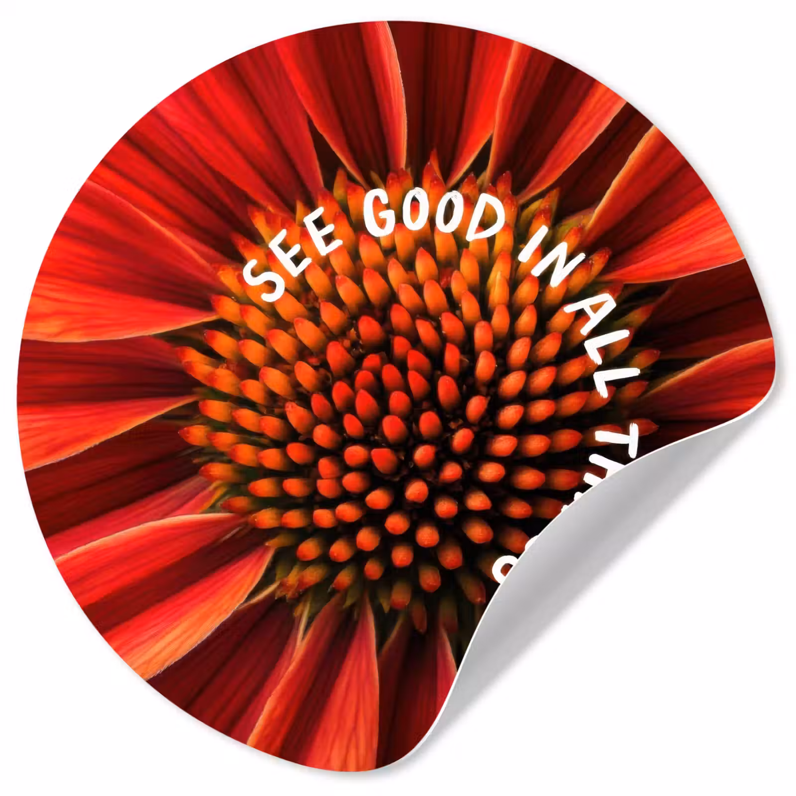 Behangcirkel - Close up - Bloem - Quote - Rood — 1