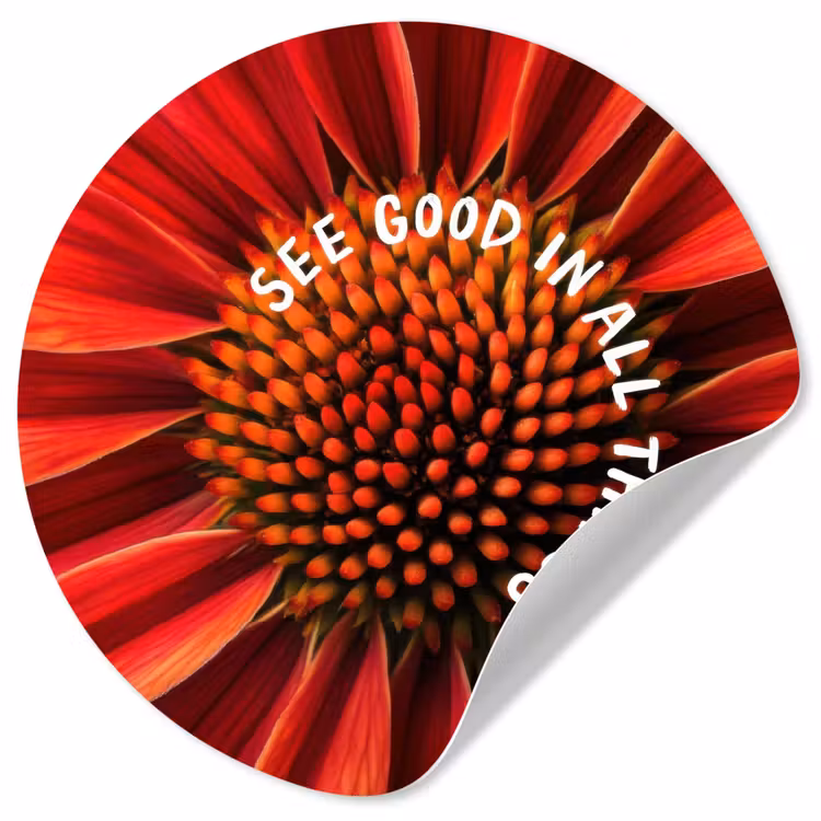 Behangcirkel - Close up - Bloem - Quote - Rood — 1