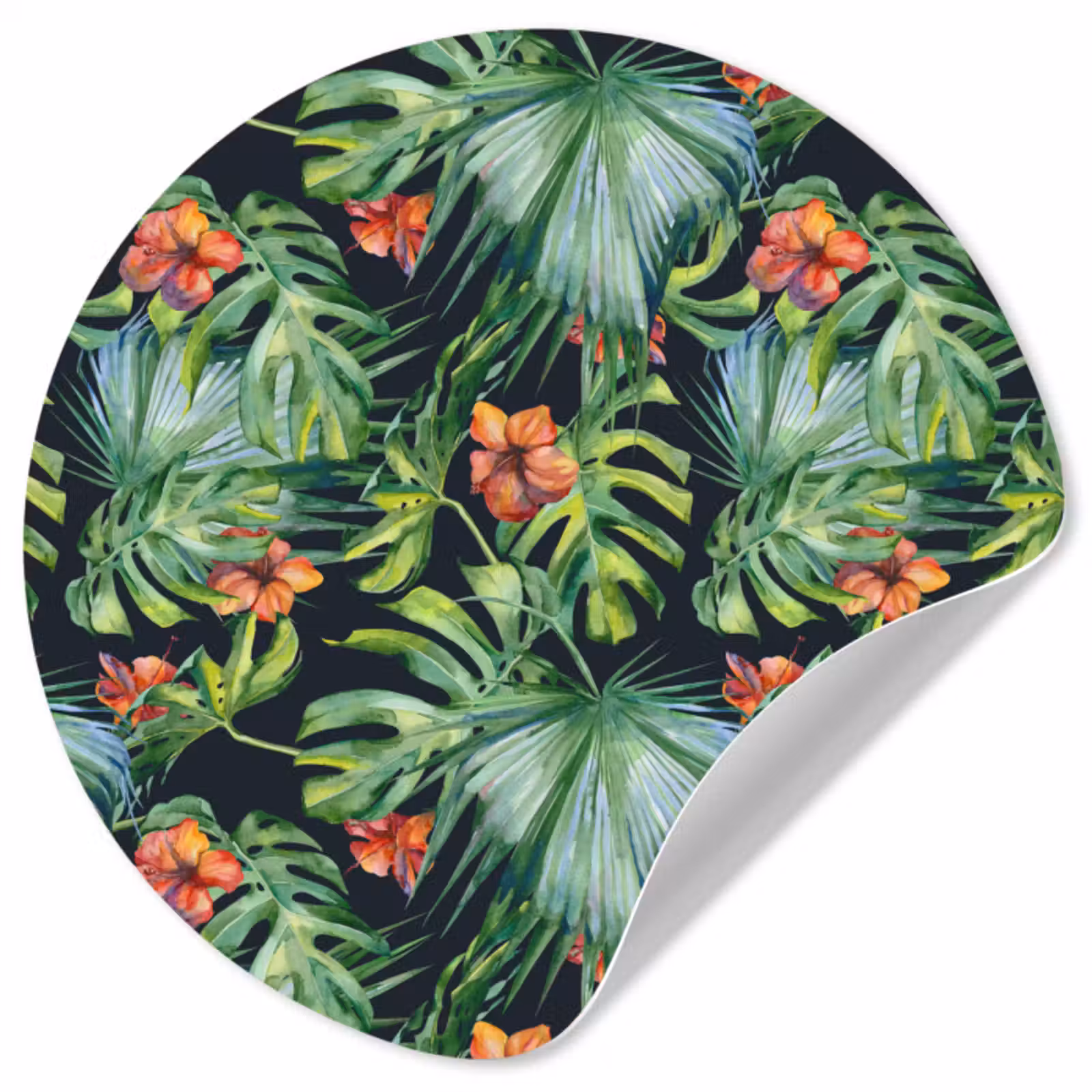 Behangcirkel - Monstera - Jungle - Bladeren — 1