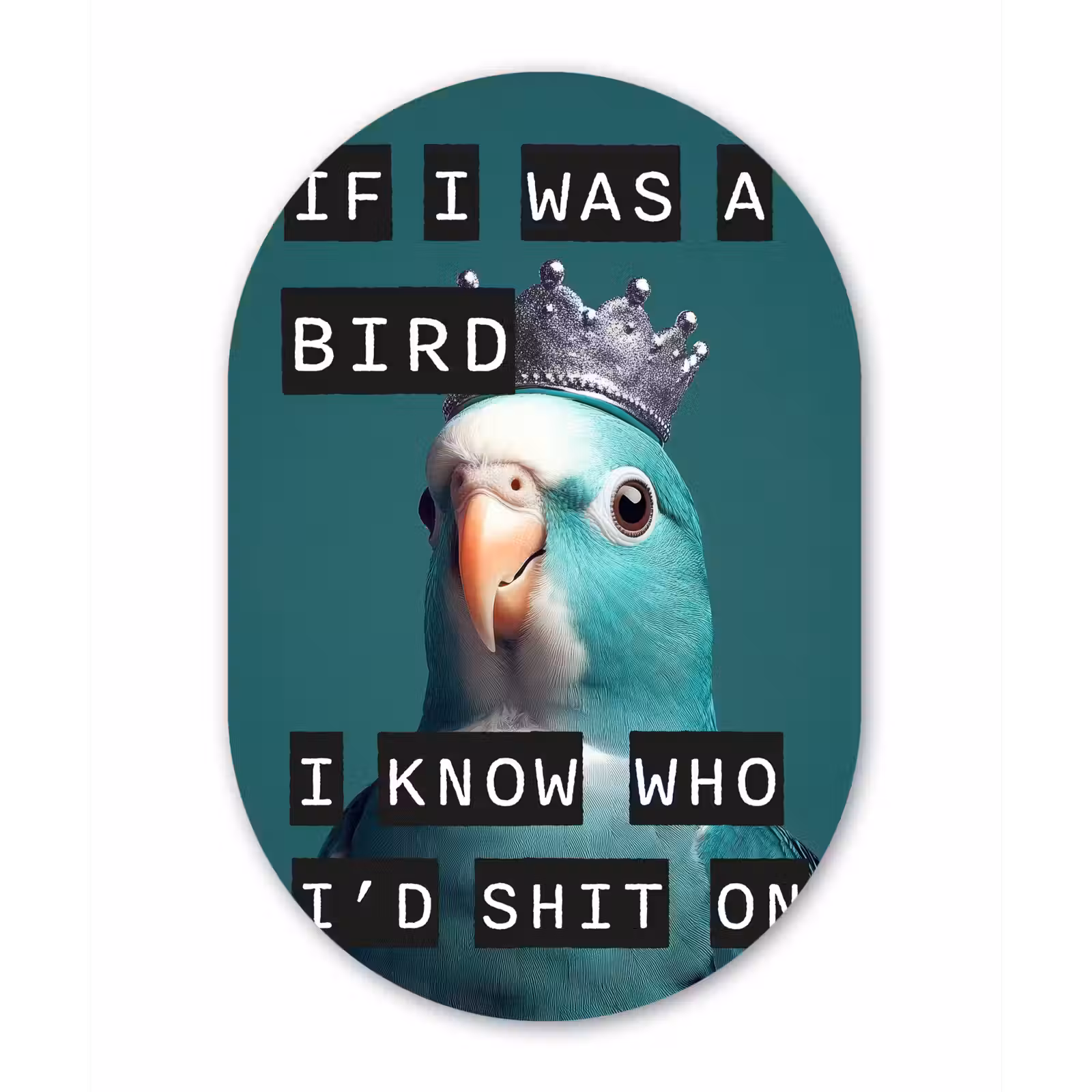 Muurovaal - Parkiet - Turquoise - Quotes - Decoratie — 1