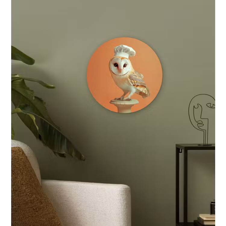 Muurcirkel - Kerkuil - Koksmuts - Oranje - Vogel — 3
