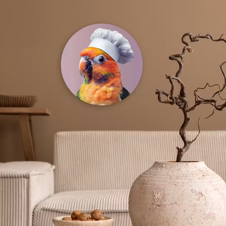 Muurcirkel - Papegaai - Koksmuts - Nieuwsgierig - Vogel — 2