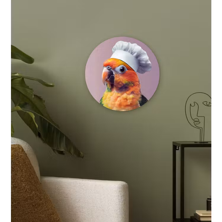 Muurcirkel - Papegaai - Koksmuts - Nieuwsgierig - Vogel — 3