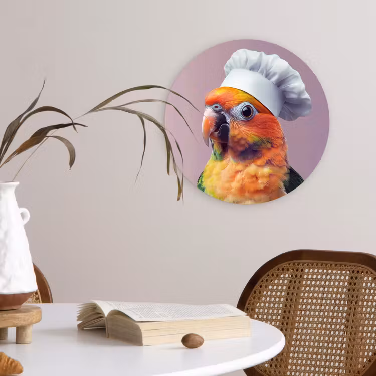 Muurcirkel - Papegaai - Koksmuts - Nieuwsgierig - Vogel — 4