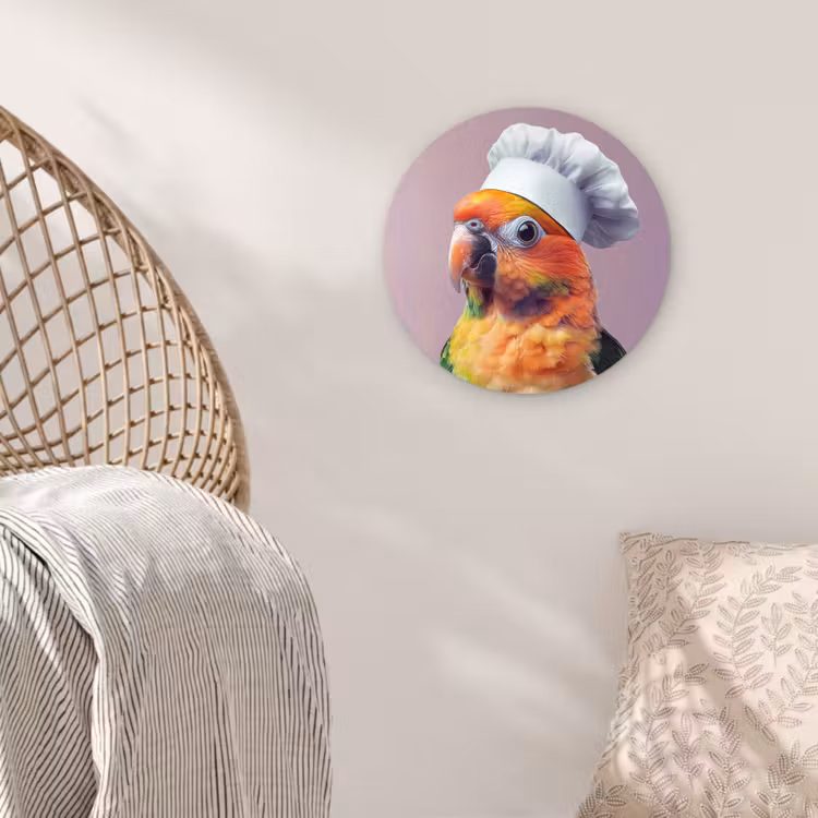 Muurcirkel - Papegaai - Koksmuts - Nieuwsgierig - Vogel — 5