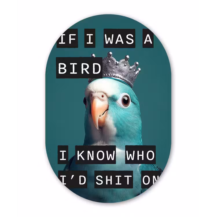 Muurovaal - Parkiet - Turquoise - Quotes - Decoratie — 1