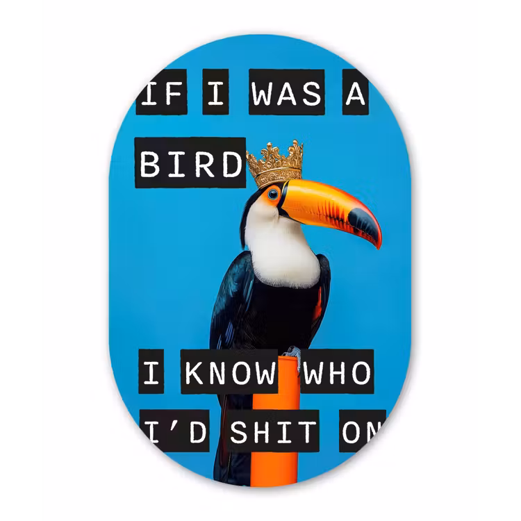Muurovaal - Vogel - Toekan - Blauw - Quotes — 1