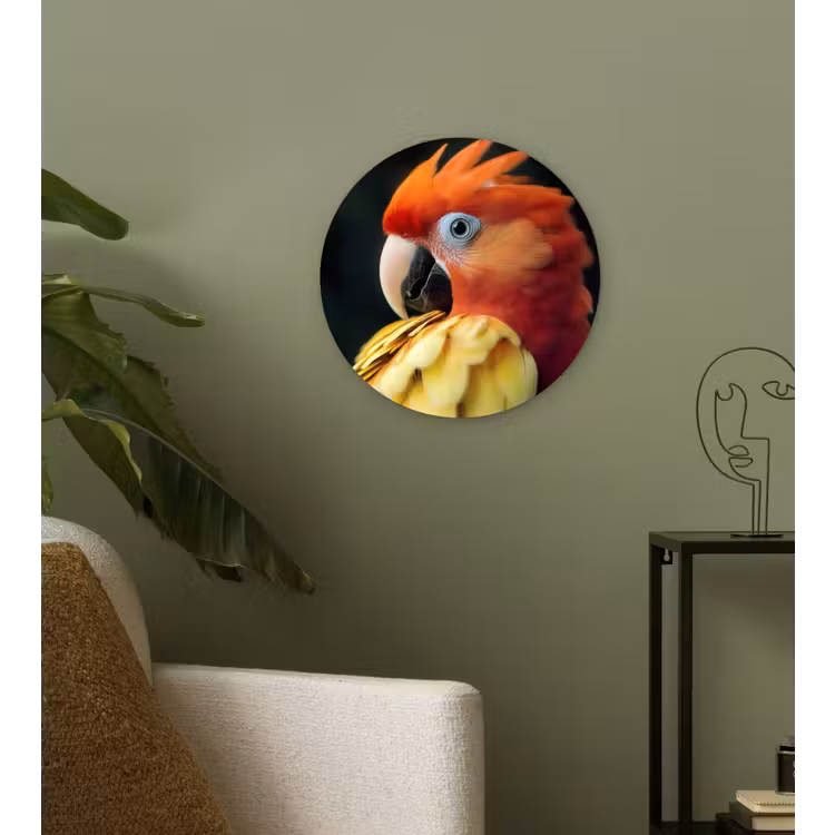 Muurcirkel - Close-up - Papegaai - Veren - Oranje — 3