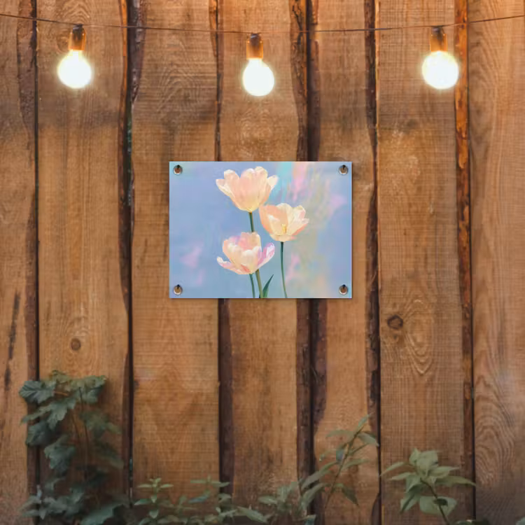 Tuinposter - Tulpen - Roze accenten - Blauw — 2