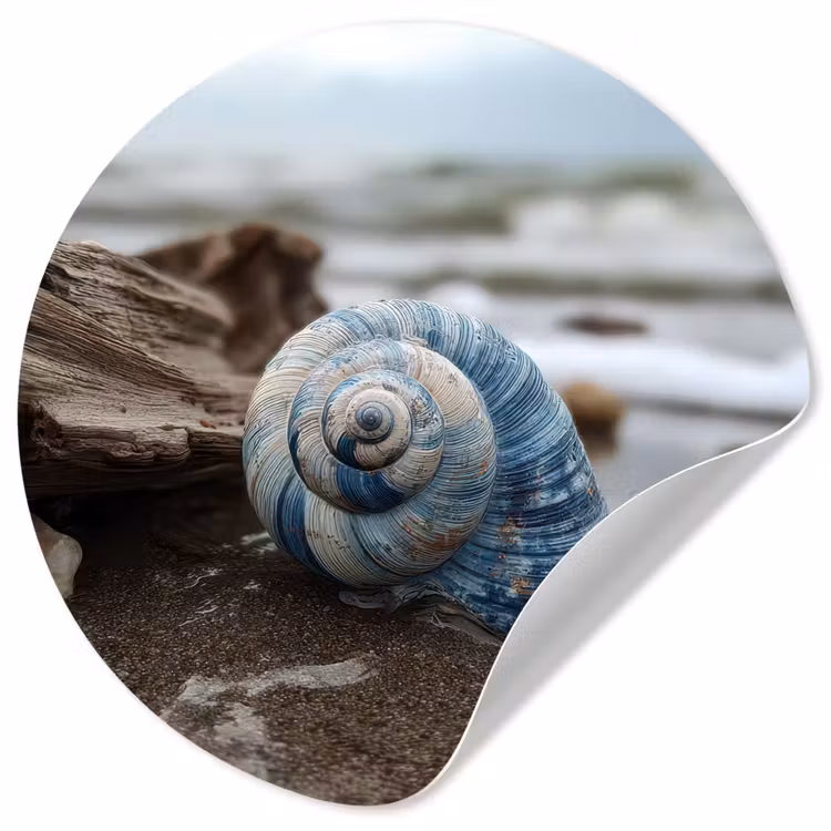 Behangcirkel - Schelp - Strand - Blauw - Zee — 1