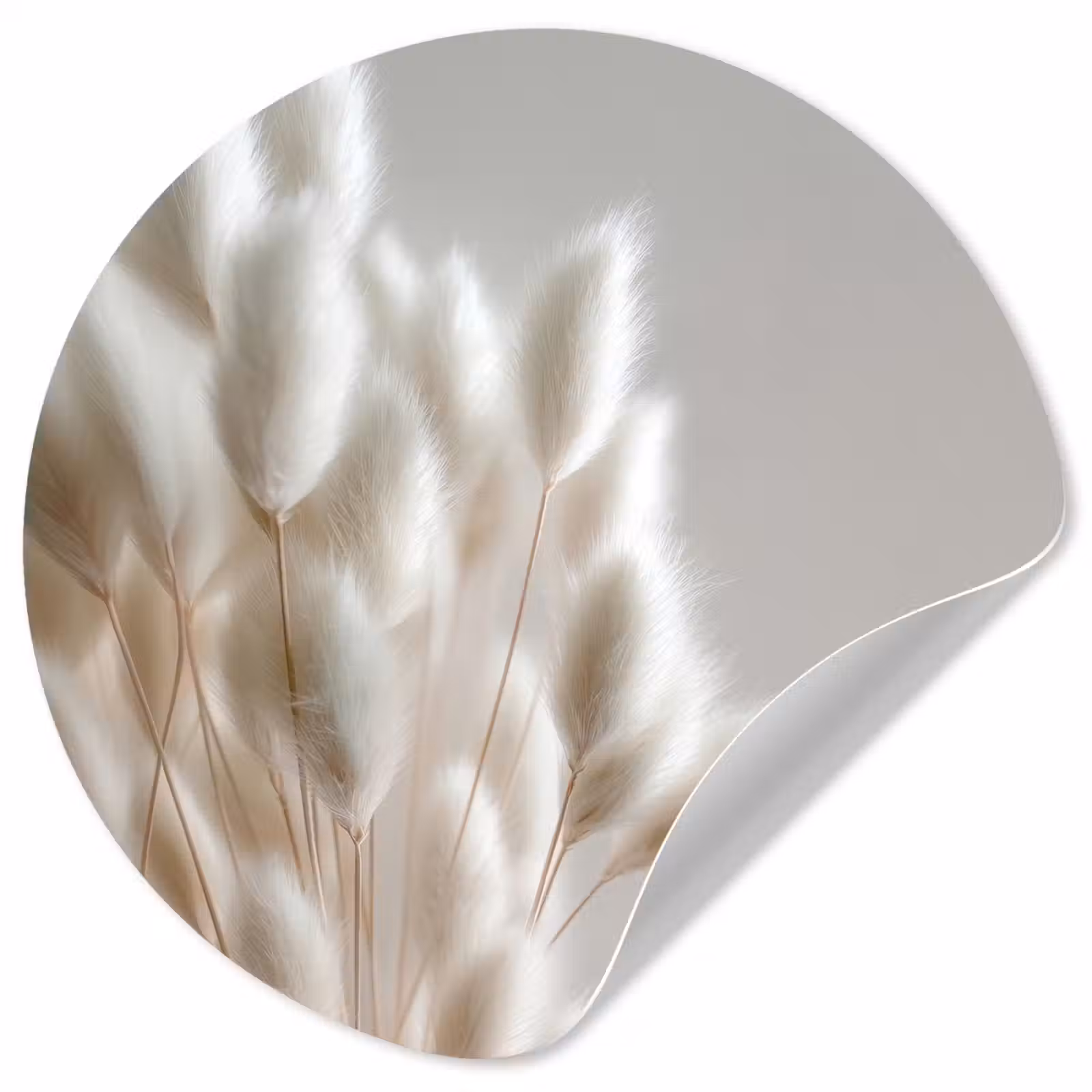 Behangcirkel - Pluimen - Beige - Minimalistisch — 1