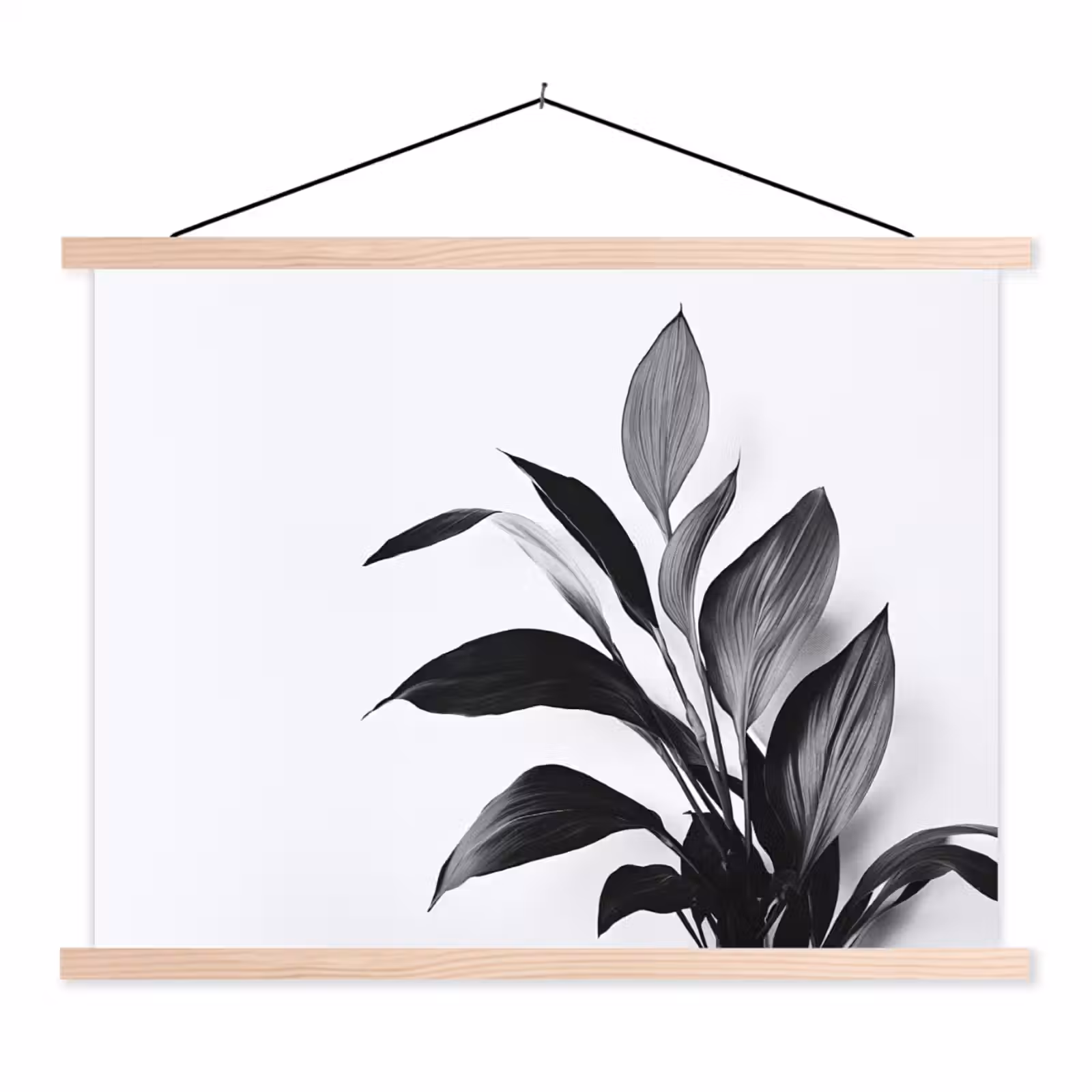 Schoolplaat - Plant - Bladeren - Minimalistisch - Zwart — 1
