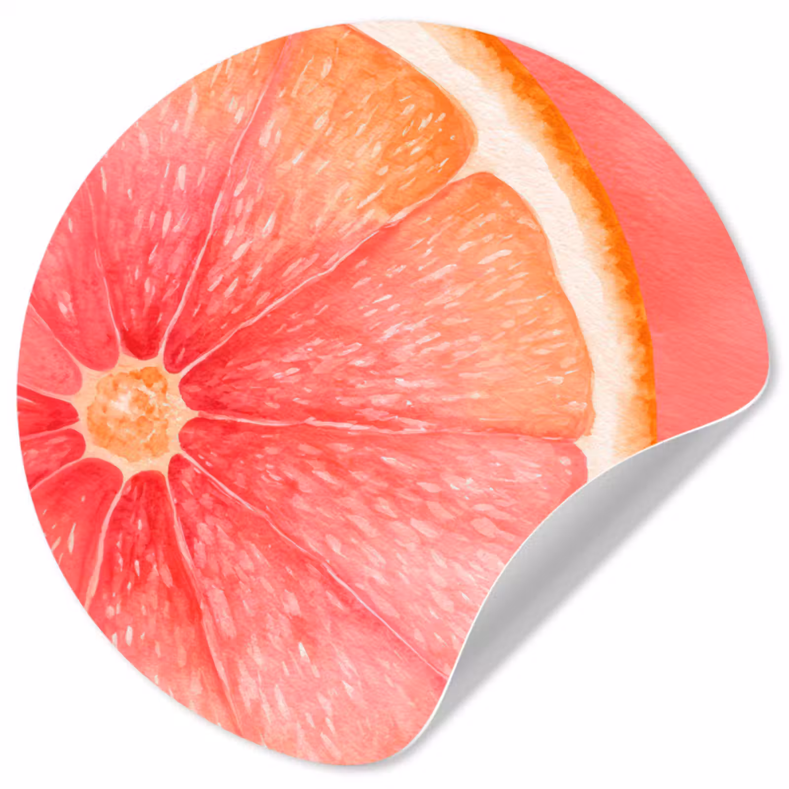 Behangcirkel - Grapefruit - Roze - Levendig — 1