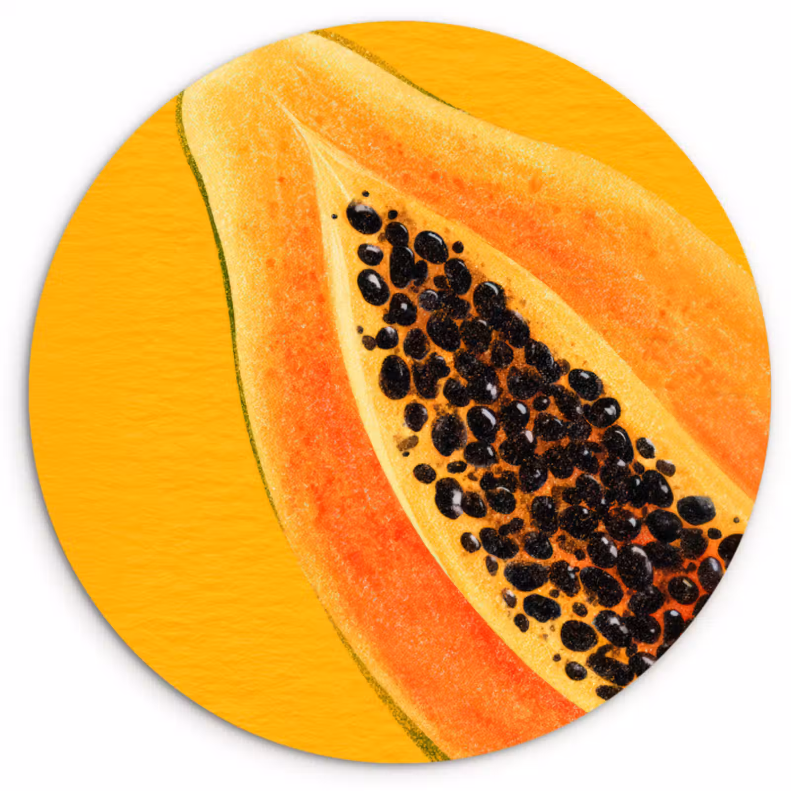 Muurcirkel - Papaja - Oranje - Topisch — 1