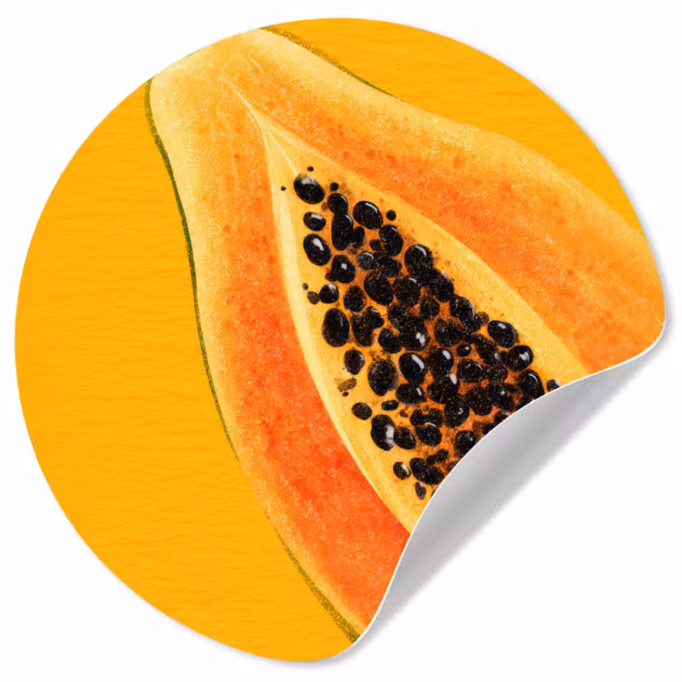 Behangcirkel - Papaja - Oranje - Topisch — 1