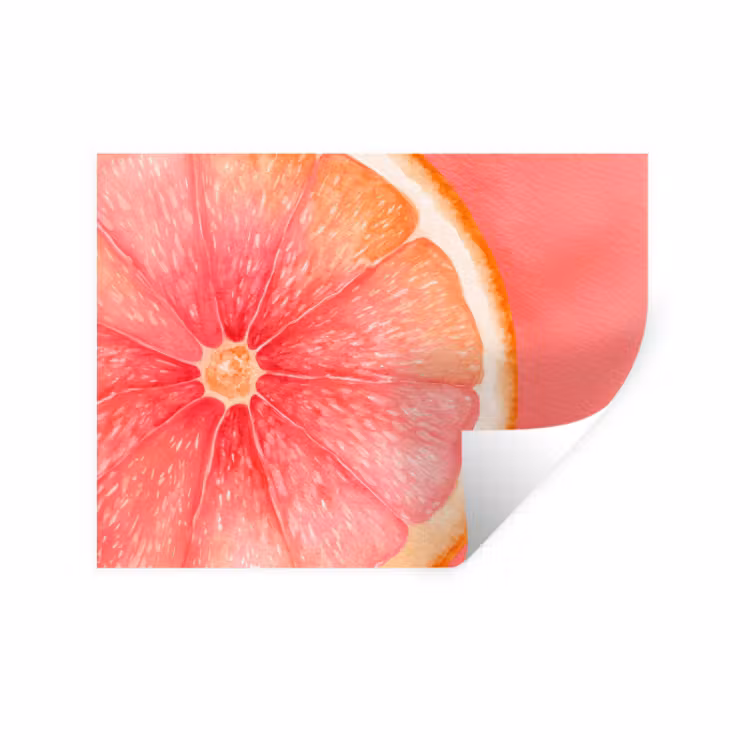 Muursticker - Grapefruit - Roze - Levendig — 1