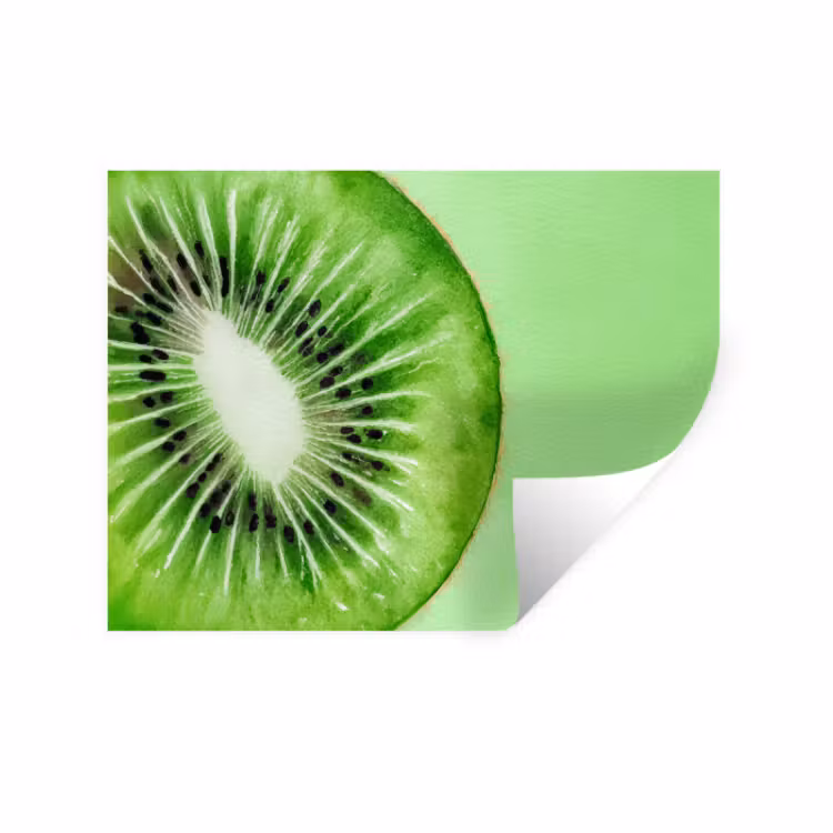 Muursticker - Kiwi - Groen - Fris — 1