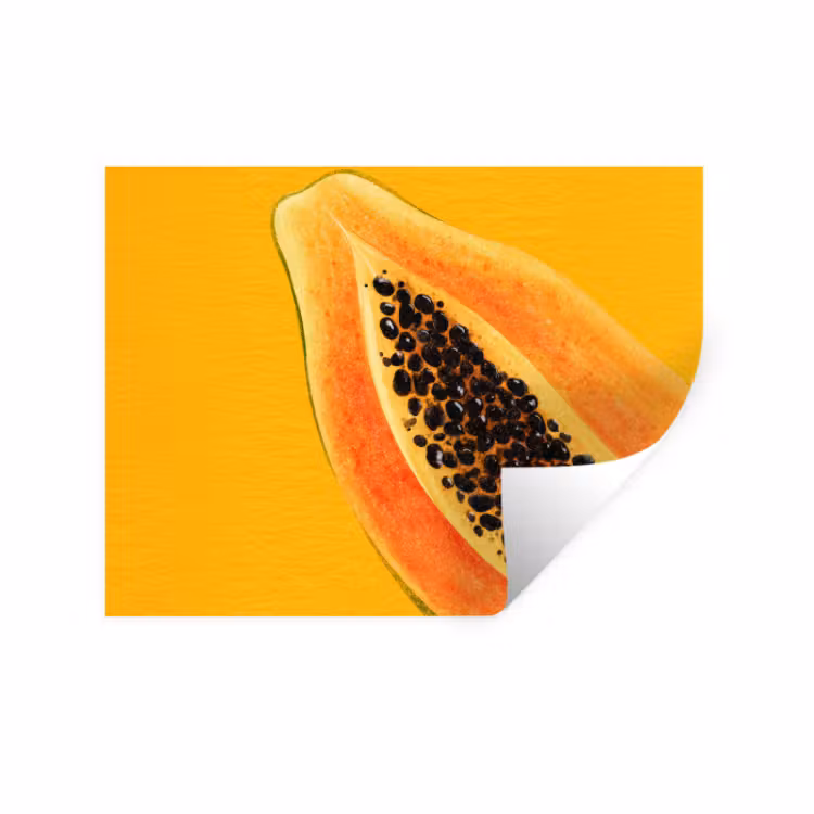 Muursticker - Papaja - Oranje - Topisch — 1