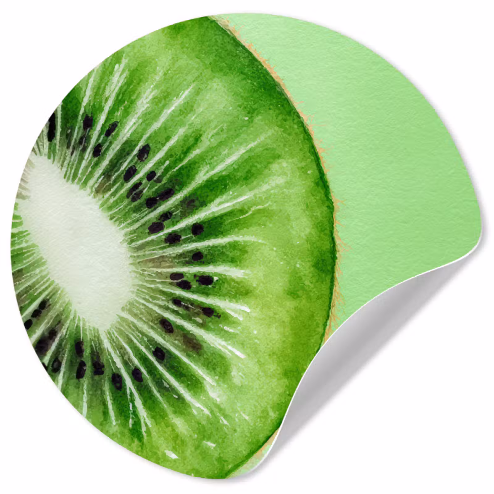 Behangcirkel - Kiwi - Groen - Fris — 1