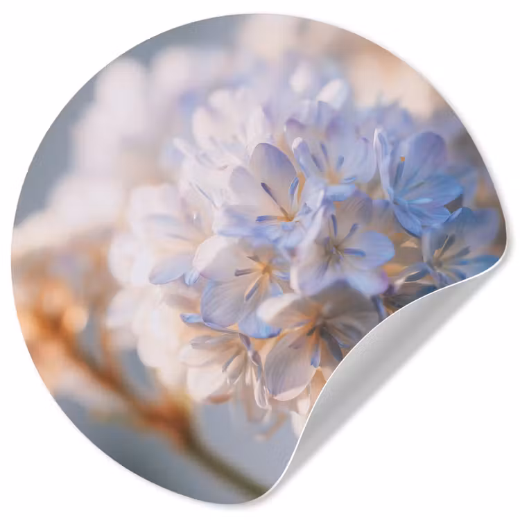 Behangcirkel - Bloemen - Lichtblauw - Wazig - Trosje — 1