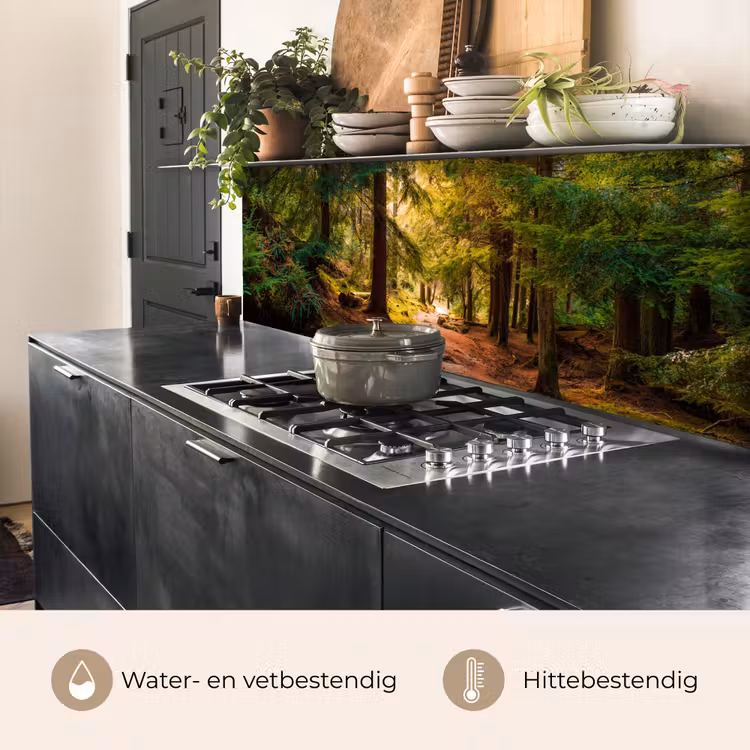 Keuken achterwand - Bos - Pad - Bomen - Groen - Zon - Natuur — 3
