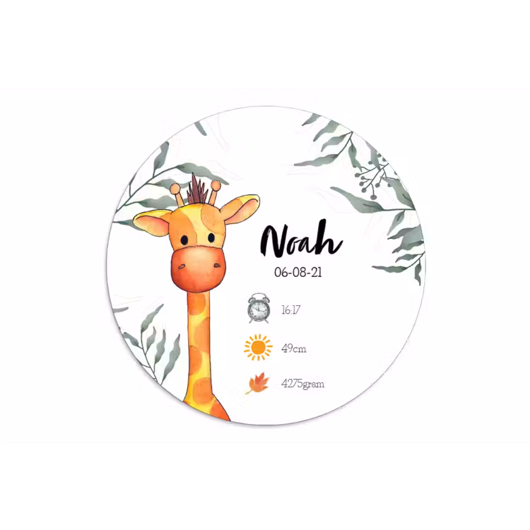 Geboortecirkel giraffe icoontjes — 1