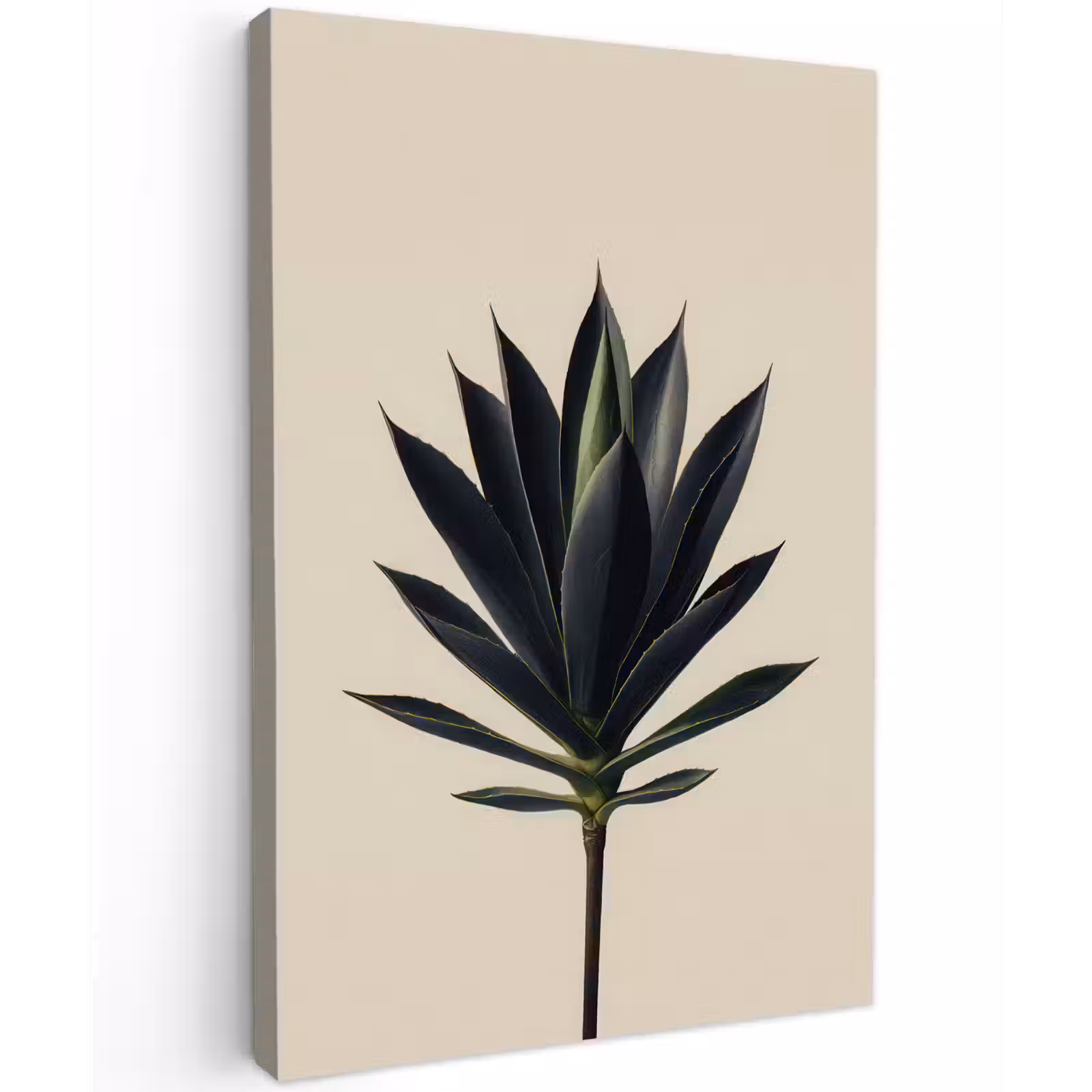 Buiten canvas - Agaveplant - Symmetrisch - Groen — 1