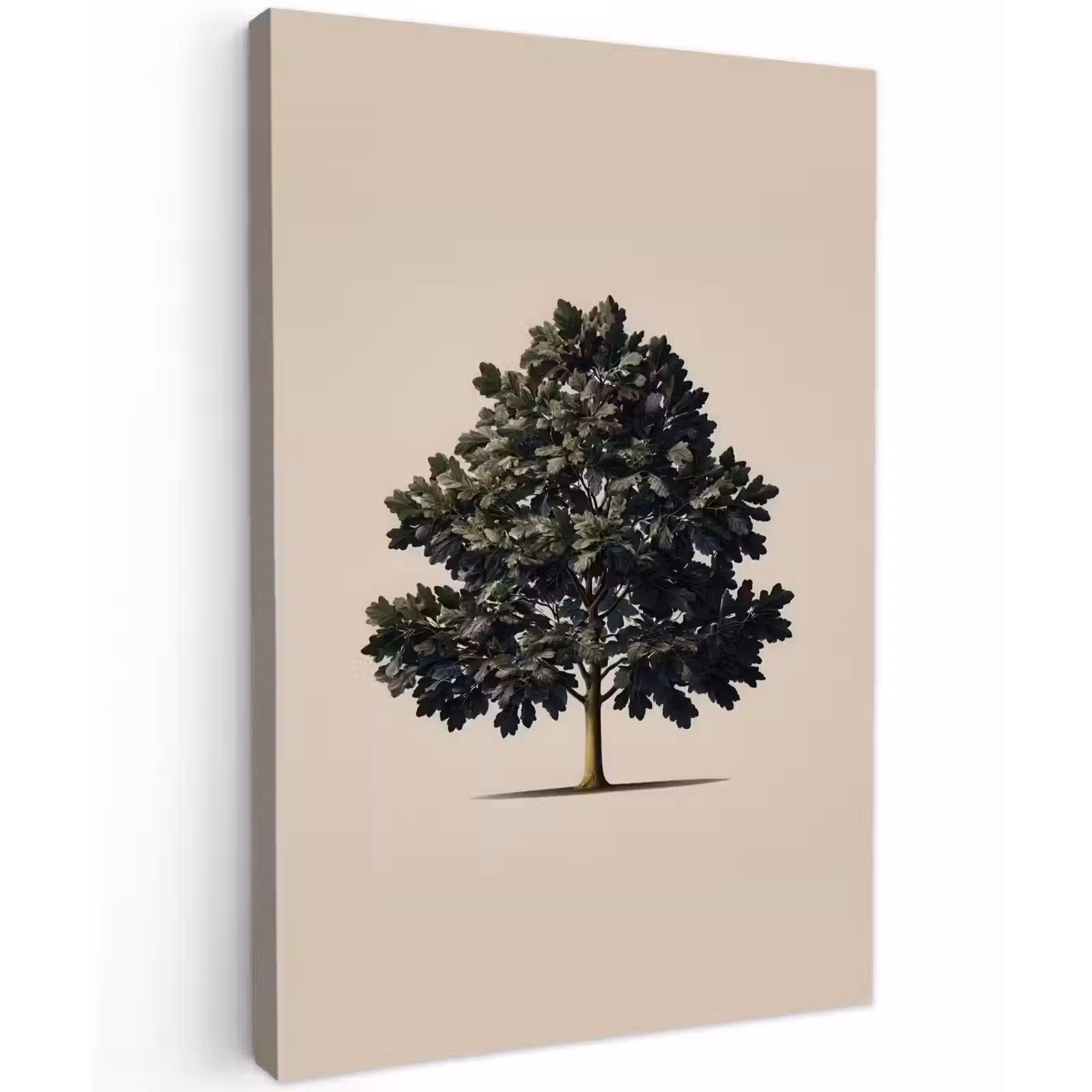 Buiten canvas - Eikenboom - Schaduw - Egaal — 1