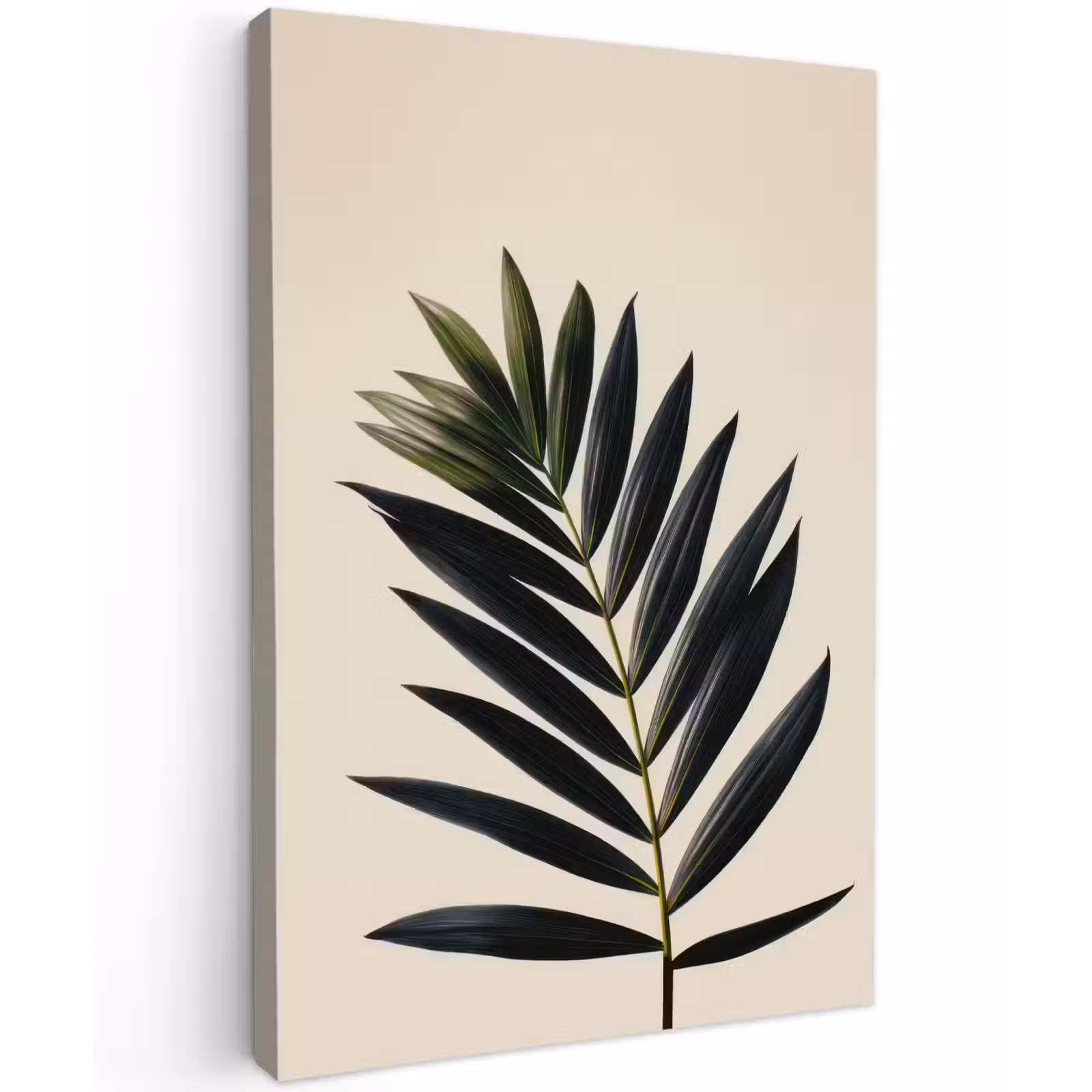 Buiten canvas - Palmblad - Donkere bladen - Subtiel — 1